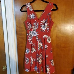 Haute Monde Red Skater Dress (M)